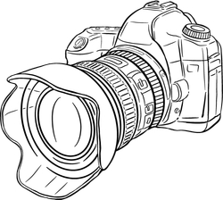 web designer WordPress et photos professionneles